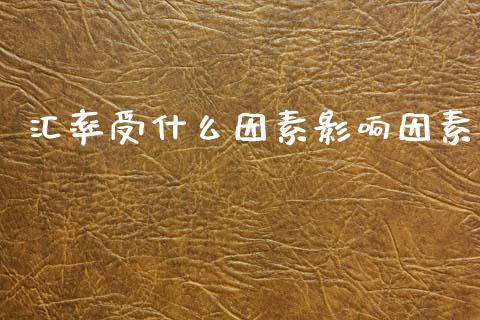 汇率受什么因素影响因素_https://wap.letulww.com_融资租赁_第1张