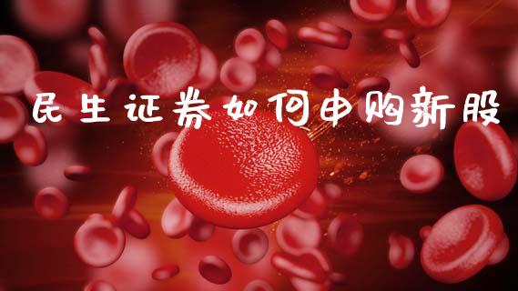 民生证券如何申购新股_https://wap.letulww.com_融资租赁_第1张