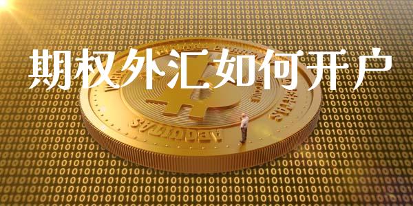 期权外汇如何开户_https://wap.letulww.com_投资策略_第1张