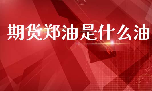 期货郑油是什么油_https://wap.letulww.com_外汇交易_第1张