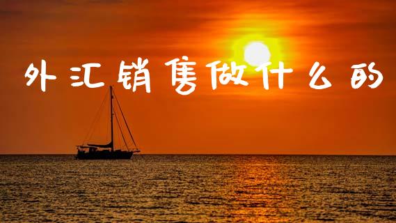 外汇销售做什么的_https://wap.letulww.com_投资策略_第1张
