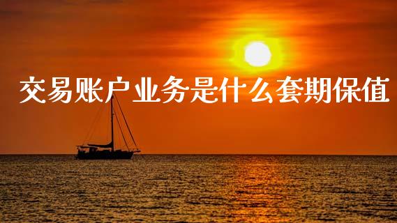 交易账户业务是什么套期保值_https://wap.letulww.com_投资策略_第1张