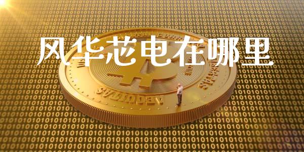 风华芯电在哪里_https://wap.letulww.com_投资策略_第1张