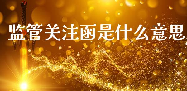 监管关注函是什么意思_https://wap.letulww.com_投资策略_第1张