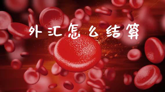 外汇怎么结算_https://wap.letulww.com_融资租赁_第1张