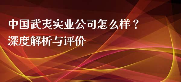 中国武夷实业公司怎么样？深度解析与评价_https://wap.letulww.com_投资管理_第1张