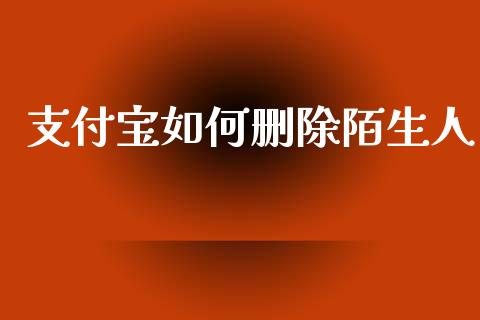 支付宝如何删除陌生人_https://wap.letulww.com_融资租赁_第1张