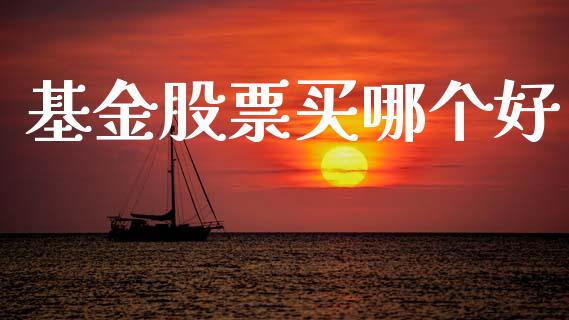 基金股票买哪个好_https://wap.letulww.com_投资管理_第1张