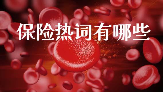 保险热词有哪些_https://wap.letulww.com_投资策略_第1张