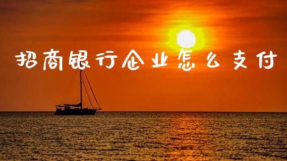 招商银行企业怎么支付_https://wap.letulww.com_融资租赁_第1张