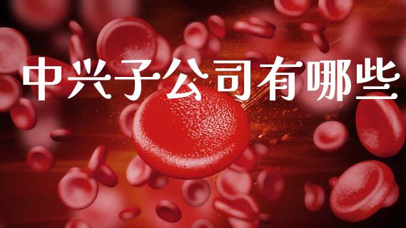 中兴子公司有哪些_https://wap.letulww.com_投资策略_第1张