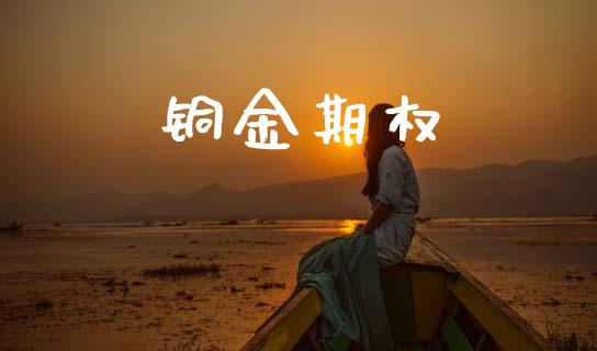 铜金期权_https://wap.letulww.com_外汇交易_第1张