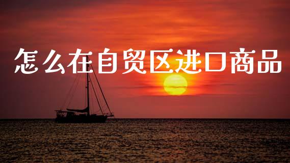 怎么在自贸区进口商品_https://wap.letulww.com_投资管理_第1张