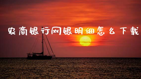 农商银行网银明细怎么下载_https://wap.letulww.com_投资管理_第1张