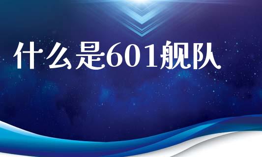 什么是601舰队_https://wap.letulww.com_投资管理_第1张
