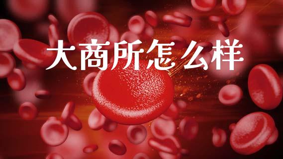 大商所怎么样_https://wap.letulww.com_融资租赁_第1张