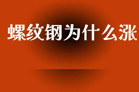 螺纹钢为什么涨_https://wap.letulww.com_融资租赁_第1张