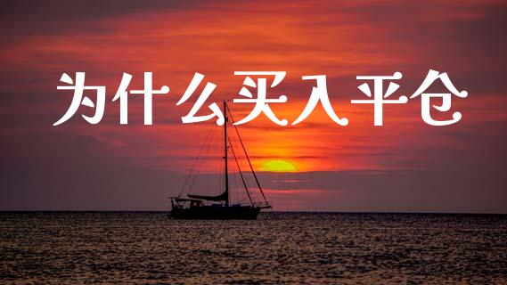 为什么买入平仓_https://wap.letulww.com_投资管理_第1张
