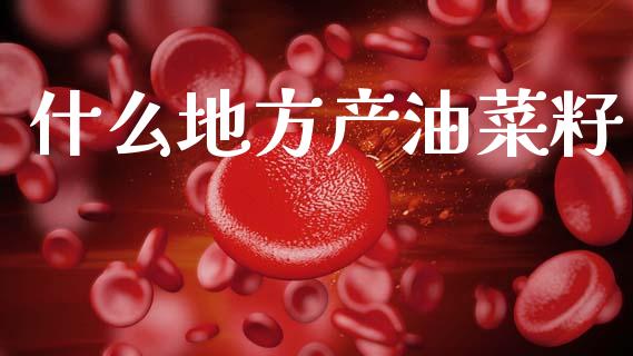 什么地方产油菜籽_https://wap.letulww.com_投资策略_第1张