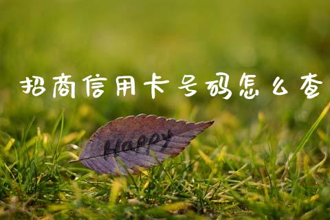 招商信用卡号码怎么查_https://wap.letulww.com_融资租赁_第1张