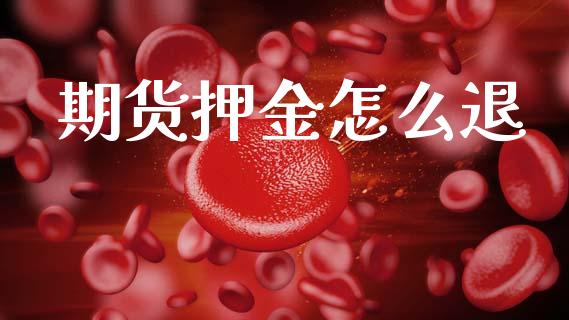 期货押金怎么退_https://wap.letulww.com_外汇交易_第1张