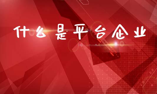 什么是平台企业_https://wap.letulww.com_外汇交易_第1张