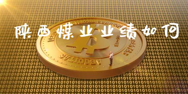 陕西煤业业绩如何_https://wap.letulww.com_外汇交易_第1张