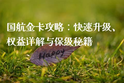 国航金卡攻略：快速升级、权益详解与保级秘籍_https://wap.letulww.com_投资策略_第1张