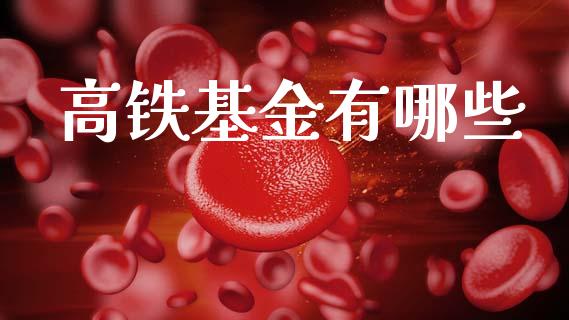 高铁基金有哪些_https://wap.letulww.com_外汇交易_第1张