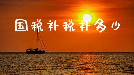 国税补税补多少_https://wap.letulww.com_投资策略_第1张