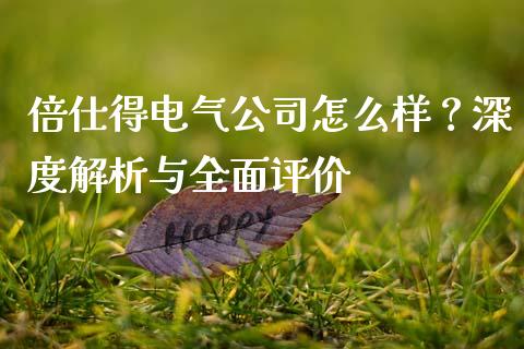 倍仕得电气公司怎么样？深度解析与全面评价_https://wap.letulww.com_外汇交易_第1张