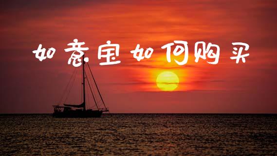 如意宝如何购买_https://wap.letulww.com_外汇交易_第1张