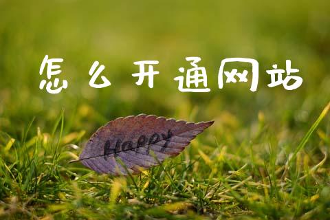 怎么开通网站_https://wap.letulww.com_投资管理_第1张