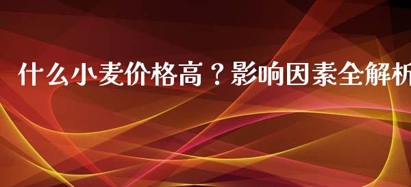 什么小麦价格高？影响因素全解析_https://wap.letulww.com_投资策略_第1张