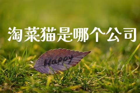 淘菜猫是哪个公司_https://wap.letulww.com_投资策略_第1张