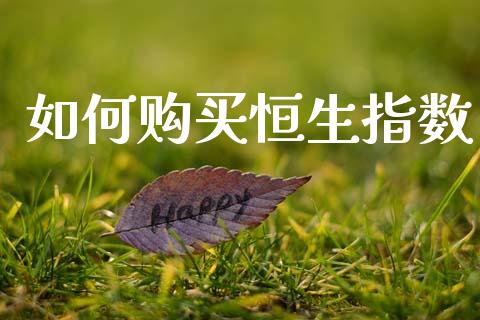 如何购买恒生指数_https://wap.letulww.com_融资租赁_第1张