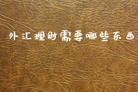 外汇理财需要哪些东西_https://wap.letulww.com_投资管理_第1张