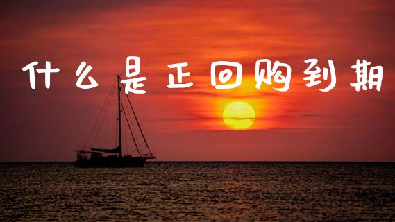 什么是正回购到期_https://wap.letulww.com_融资租赁_第1张
