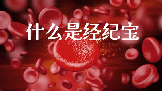 什么是经纪宝_https://wap.letulww.com_投资策略_第1张