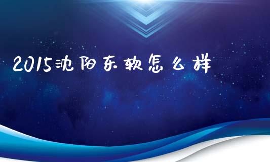 2015沈阳东软怎么样_https://wap.letulww.com_融资租赁_第1张