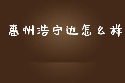 惠州浩宁达怎么样_https://wap.letulww.com_投资管理_第1张
