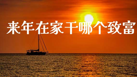 来年在家干哪个致富_https://wap.letulww.com_融资租赁_第1张