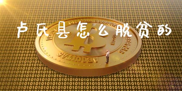 卢氏县怎么脱贫的_https://wap.letulww.com_投资策略_第1张