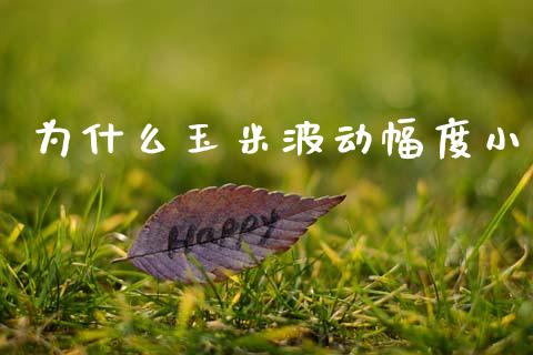 为什么玉米波动幅度小_融资租赁_第1张_外汇交易_投资策略_融资租赁_投资管理 为什么玉米波动幅度小_https://wap.letulww.com_融资租赁_第1张