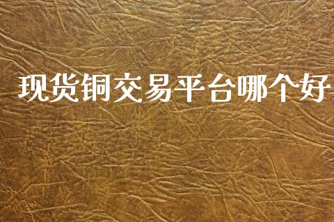 现货铜交易平台哪个好_https://wap.letulww.com_外汇交易_第1张