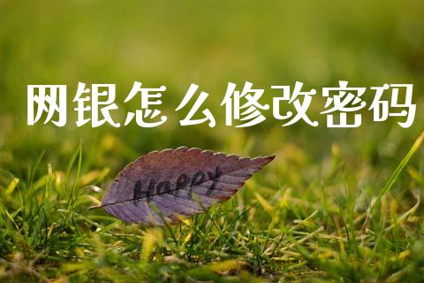 网银怎么修改密码_https://wap.letulww.com_投资管理_第1张