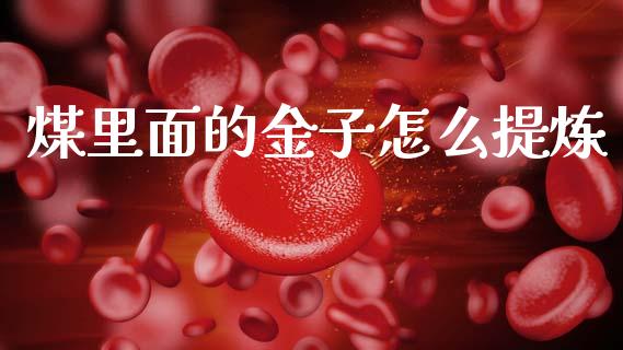煤里面的金子怎么提炼_https://wap.letulww.com_投资管理_第1张
