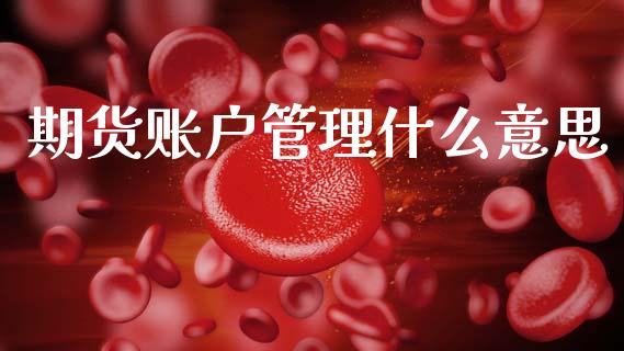 期货账户管理什么意思_https://wap.letulww.com_融资租赁_第1张