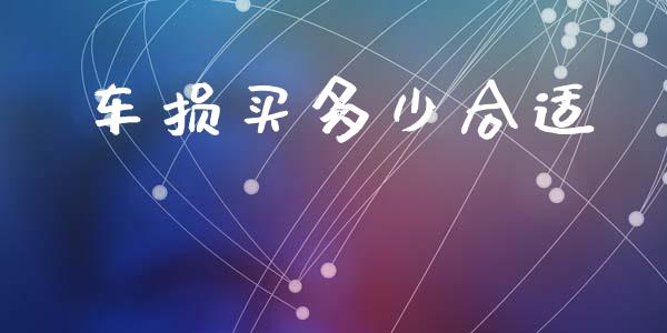 车损买多少合适_https://wap.letulww.com_投资策略_第1张