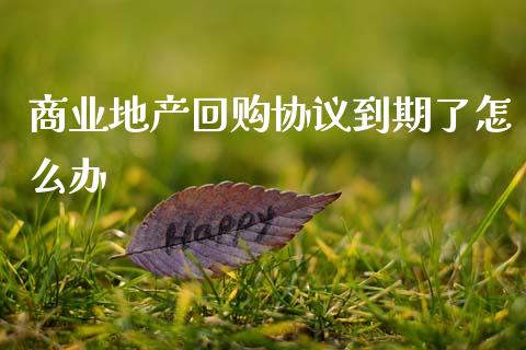 商业地产回购协议到期了怎么办_https://wap.letulww.com_投资策略_第1张